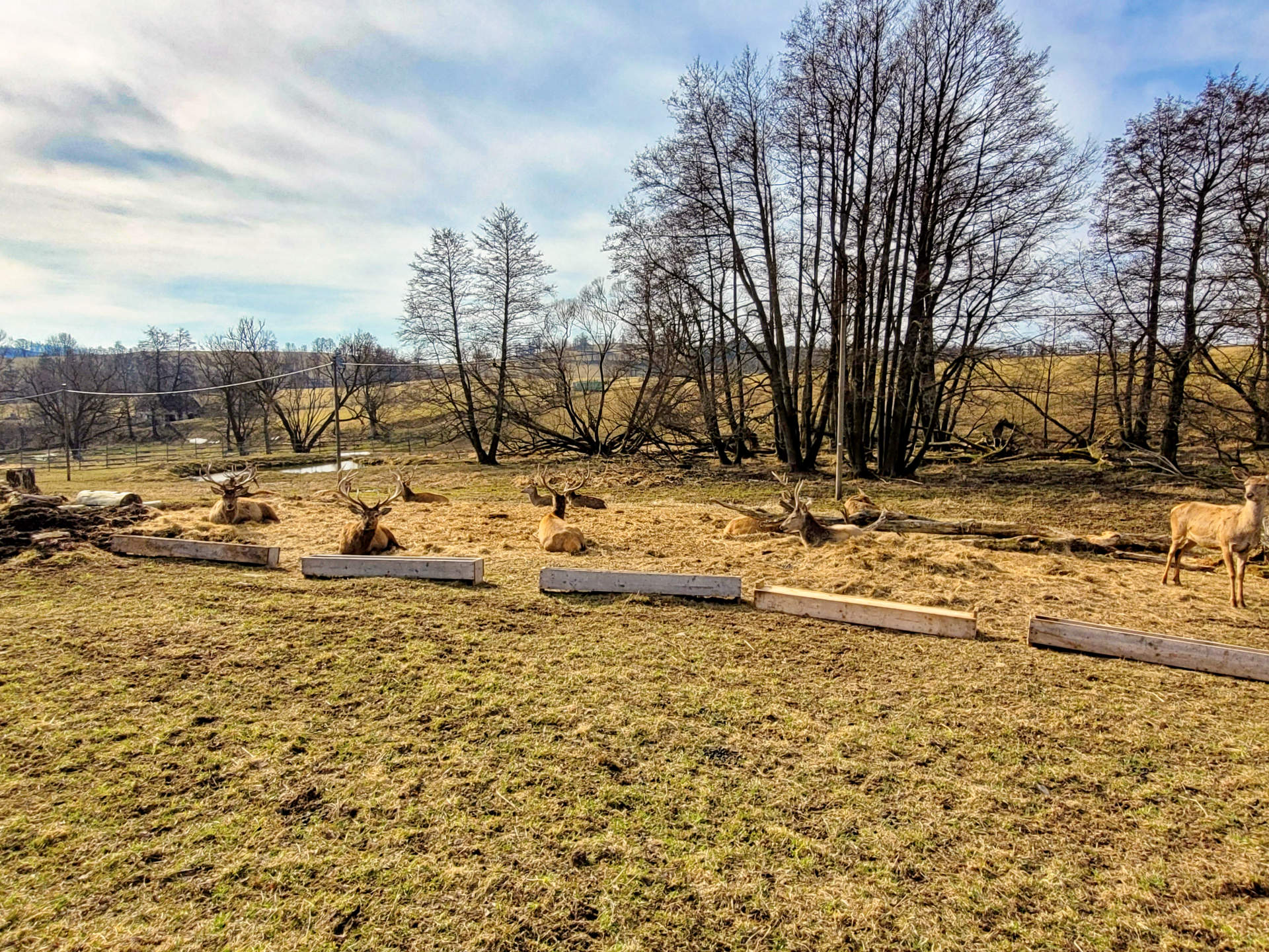 Vycházka na rozhlednu a krmení prasat – 2 hodiny, nenáročné