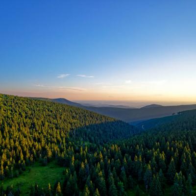 Dji 0138 Nik Dxo